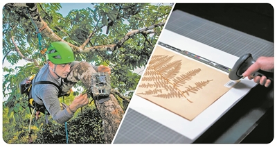 AI技术重塑生态研究范式